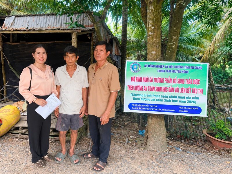 An Giang nhân rộng mô hình nuôi gà kết hợp thảo dược
