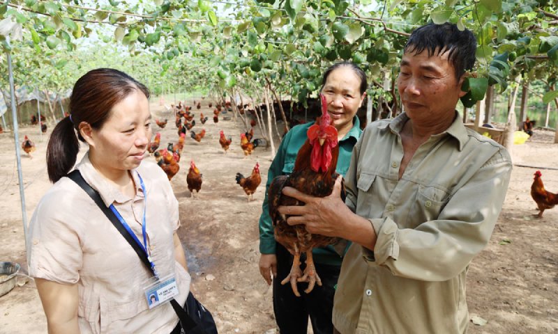 Bắc Ninh: Chăn nuôi an toàn, bảo đảm nguồn cung thực phẩm