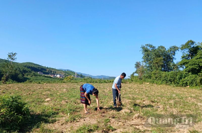 Bảo vệ vật nuôi trước mùa mưa