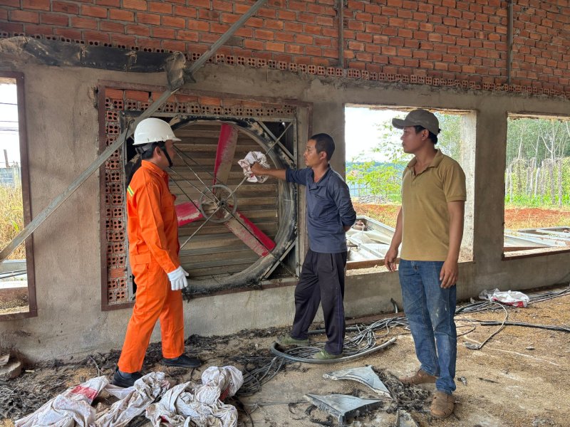 Chăn nuôi dưới hệ thống điện mặt trời áp mái