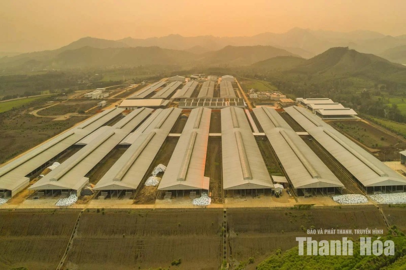 Chăn nuôi quy mô lớn trước yêu cầu phát triển bền vững (Bài cuối): Xây dựng ngành chăn nuôi theo hướng hiện đại, an toàn, xanh và bền vững