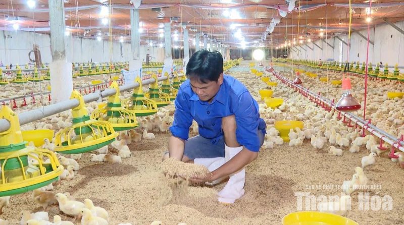 Chuyển đổi cơ cấu vật nuôi phù hợp với vùng khí hậu