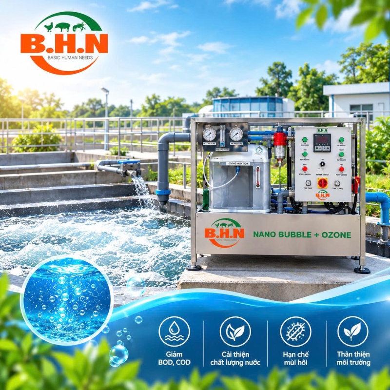 Nano bubble kết hợp ozone: Giải pháp nâng cao hiệu quả xử lý nước thải chăn nuôi