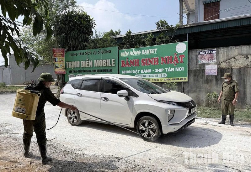 Thanh Hóa: Tạo đà phát triển chăn nuôi những tháng cuối năm