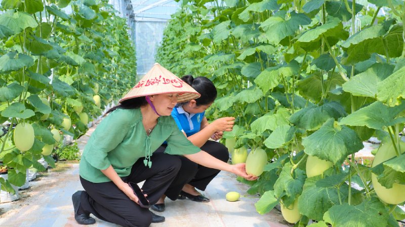 Ứng dụng công nghệ cao, nâng giá trị nông sản
