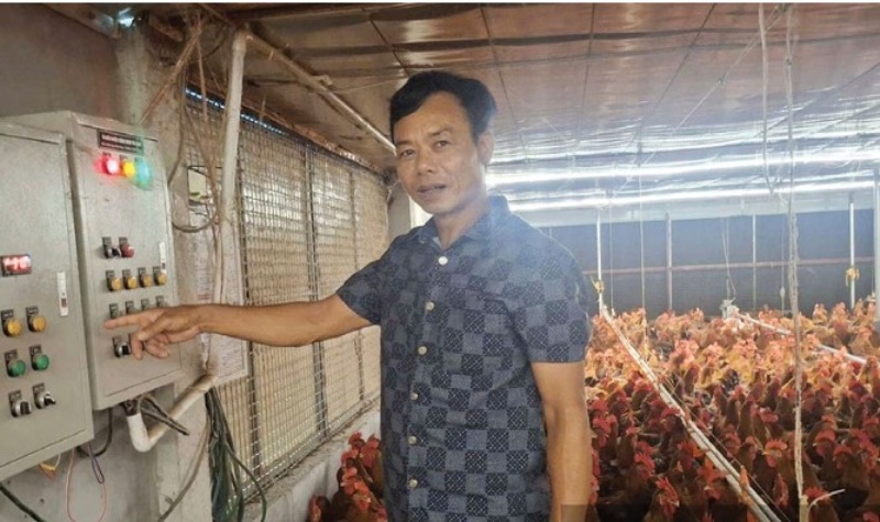 Ứng dụng công nghệ, cựu chiến binh thu lãi 300 triệu đồng mỗi lứa gà