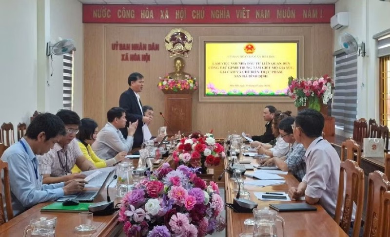Xem xét chấm dứt hoạt động Dự án Trung tâm giết mổ gia súc, gia cầm San Hà Bình Định
